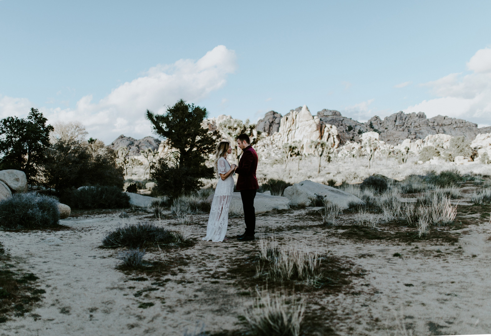 Elopement in a national park.