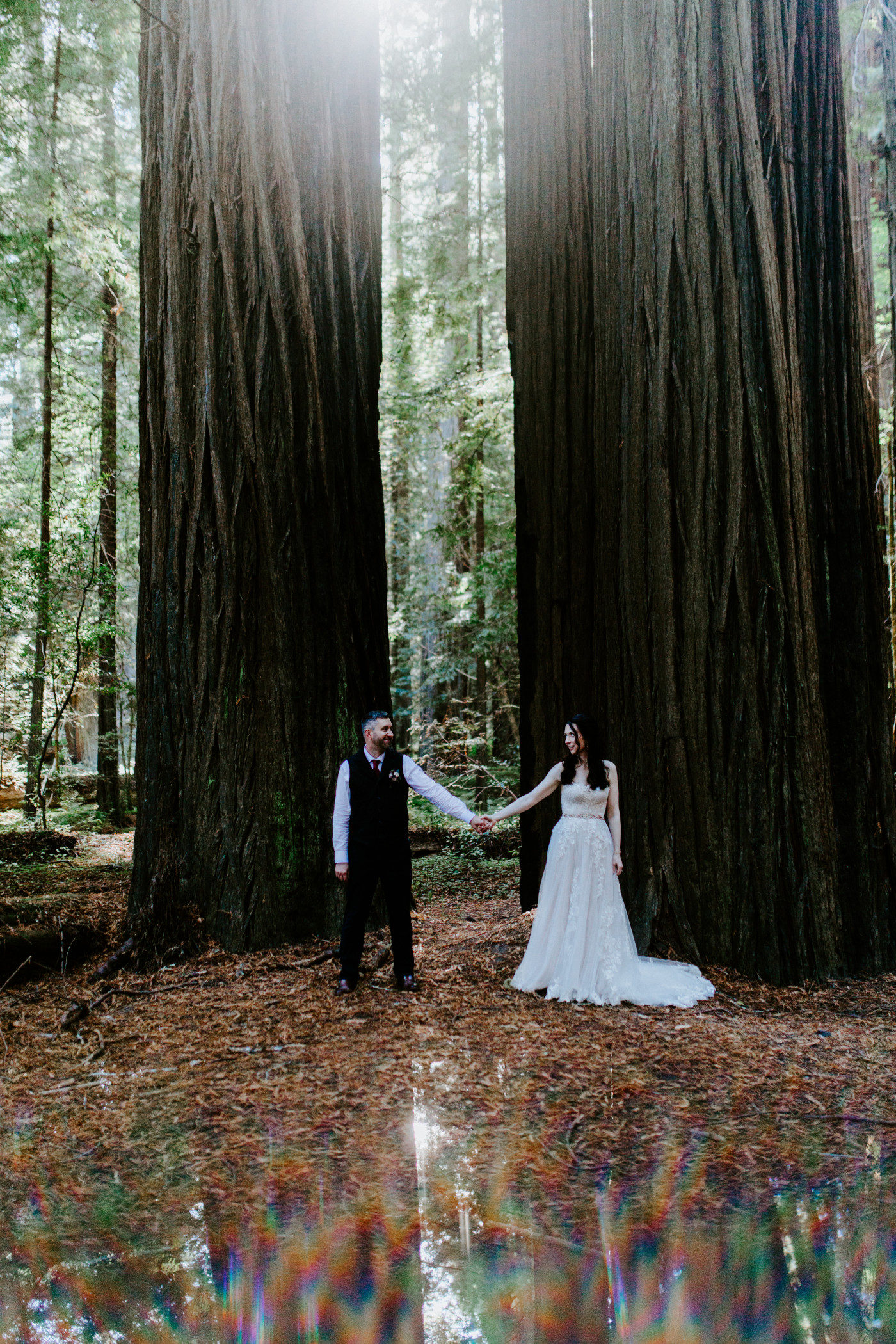 Tim and Hannah hold hands in front of giant redwood trees in the California Redwoods National Park forest.
