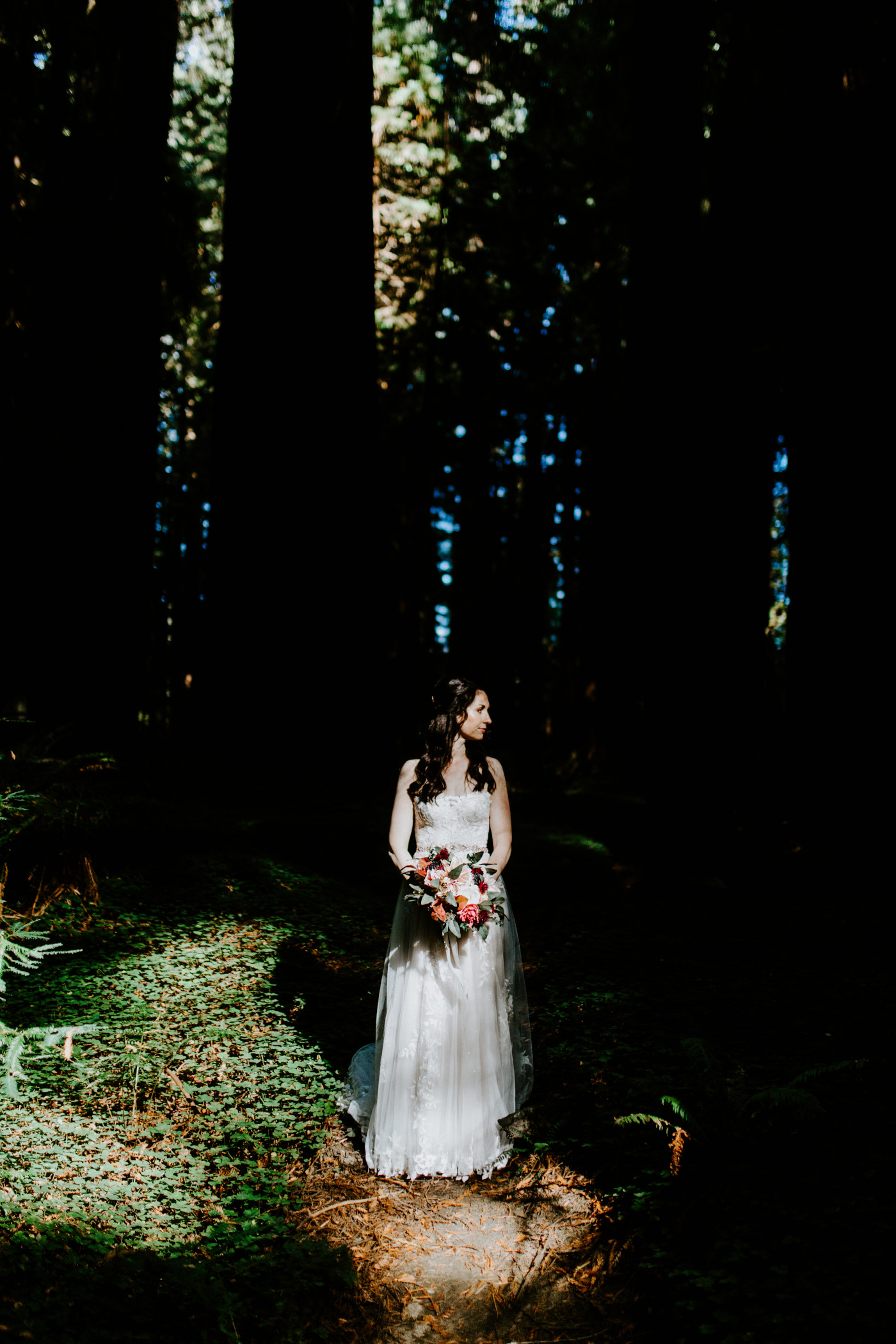 Hannah stands in the California Redwoods in her wedding dress.
