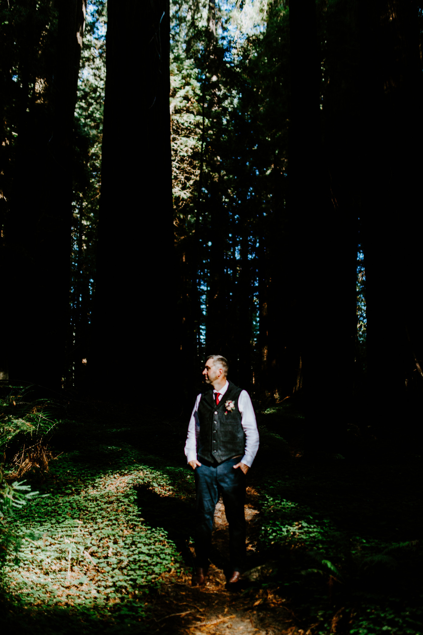 Tim stands in the California Redwoods in his wedding attire.