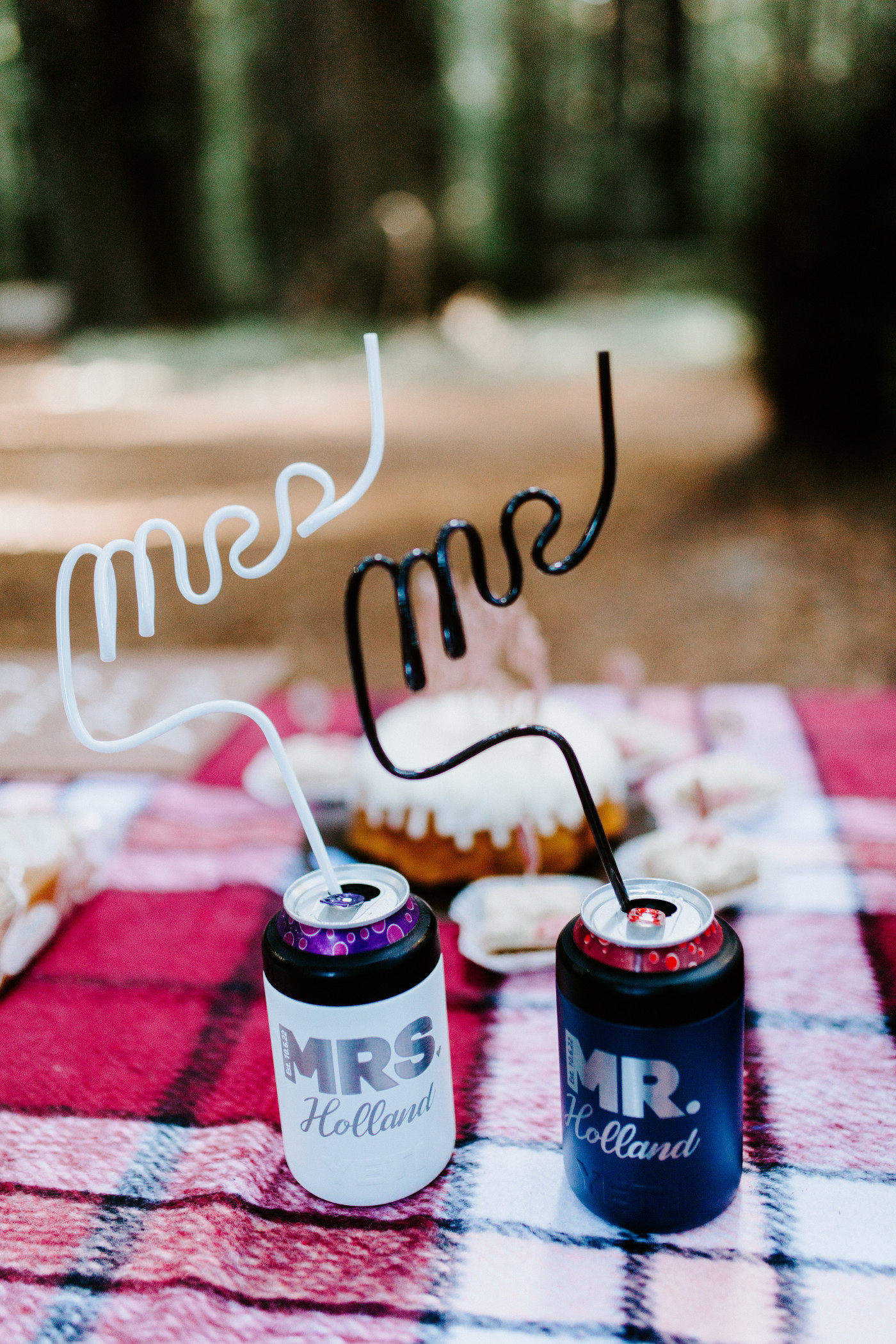 Mr and Mrs straws for the elopement picnic.