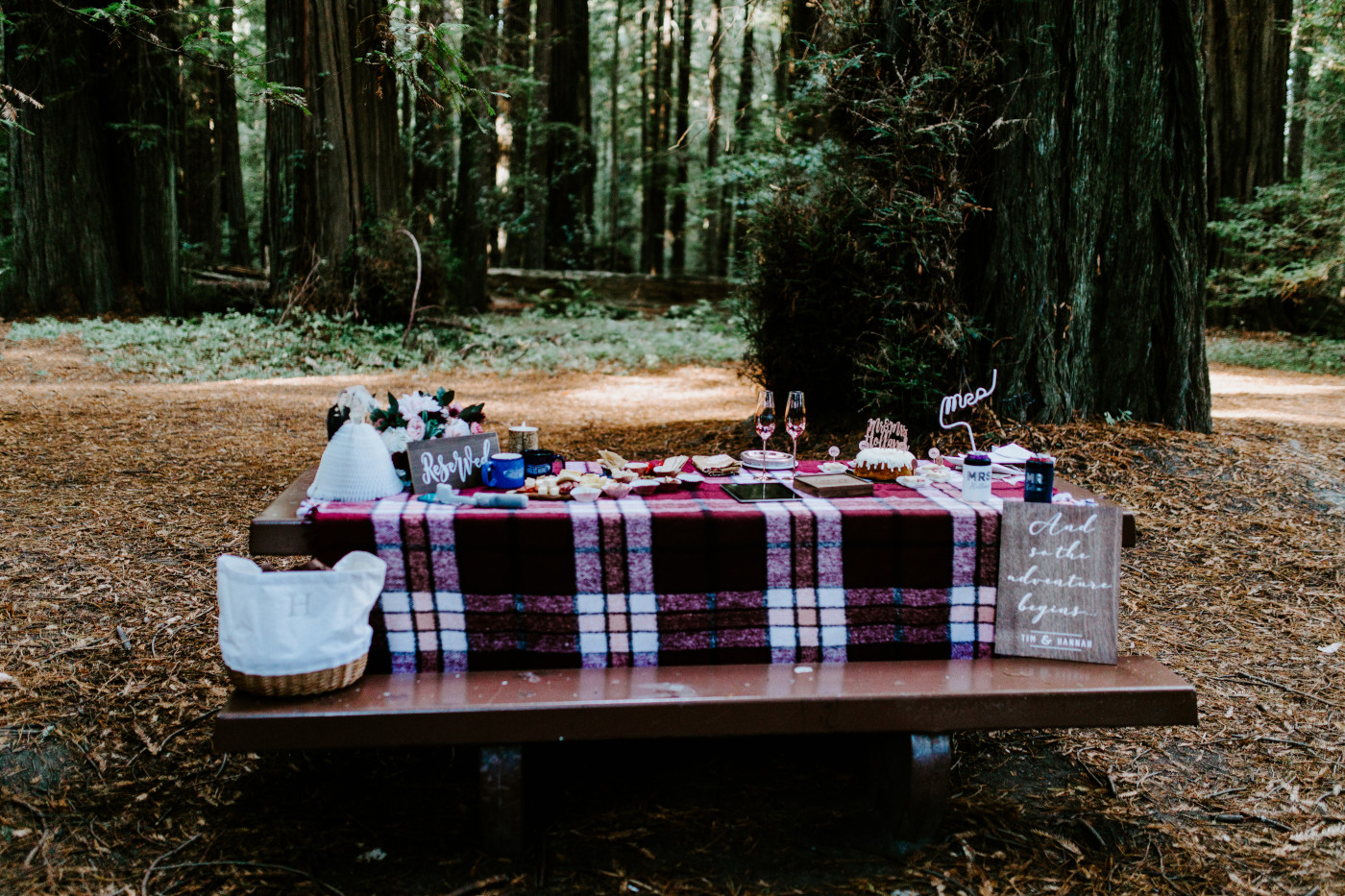 Tim and Hannah's elopement picnic setup.
