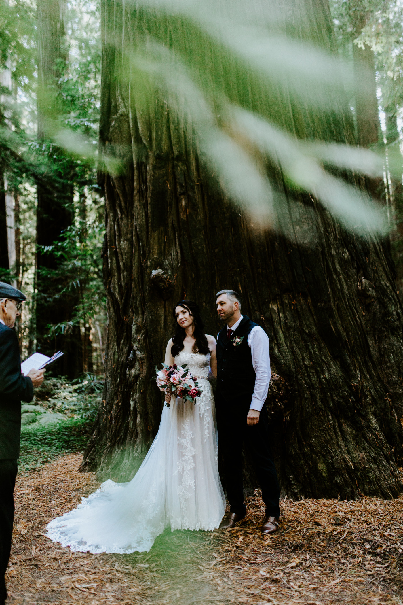 Hannah and Tim stand in front of a large tree in the California Redwoods for their elopement.