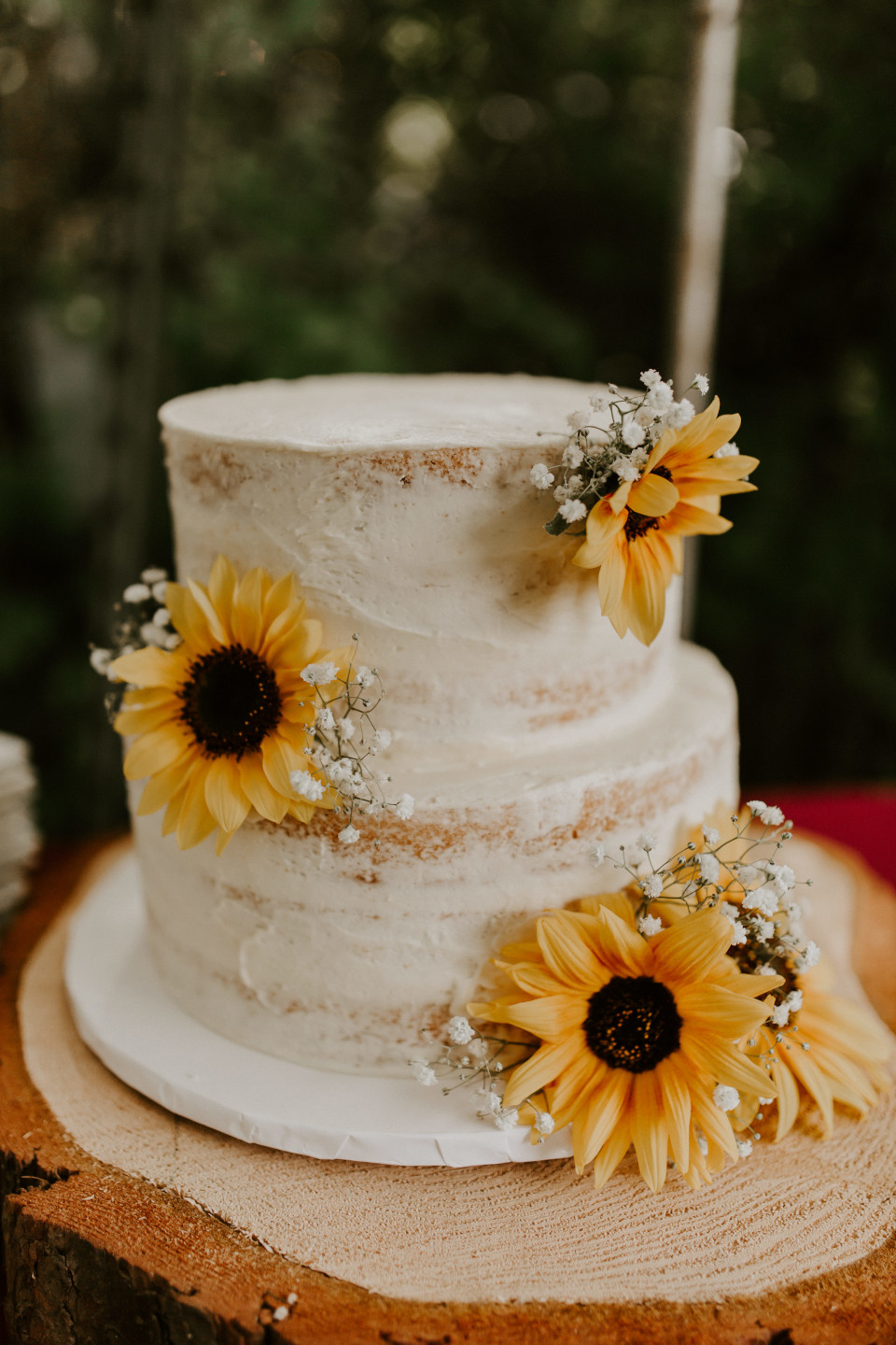 A close up of the cake in Corvallis, Oregon. Intimate wedding photography in Corvallis Oregon by Sienna Plus Josh.