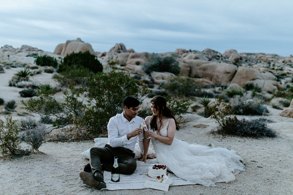 An animated gif of Shelby and Zack cheers in Joshua Tree National Park.