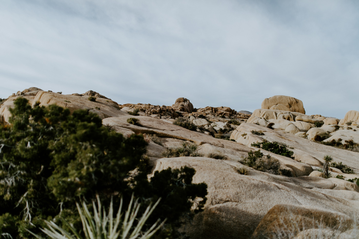 A look at the landscape of Joshua Tree National Park.