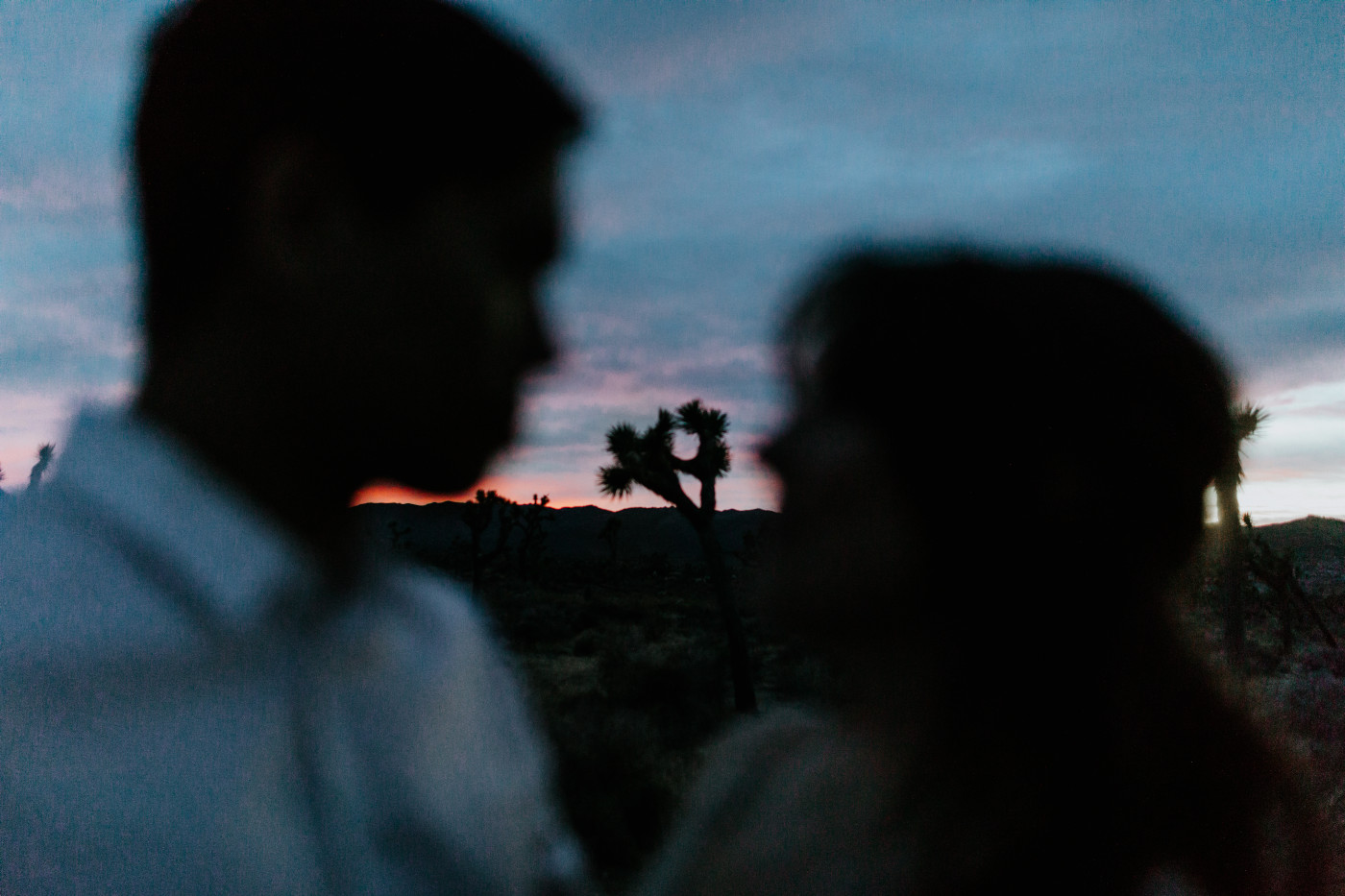 Shelby and Zack stand face to face in Joshua Tree at sunset.