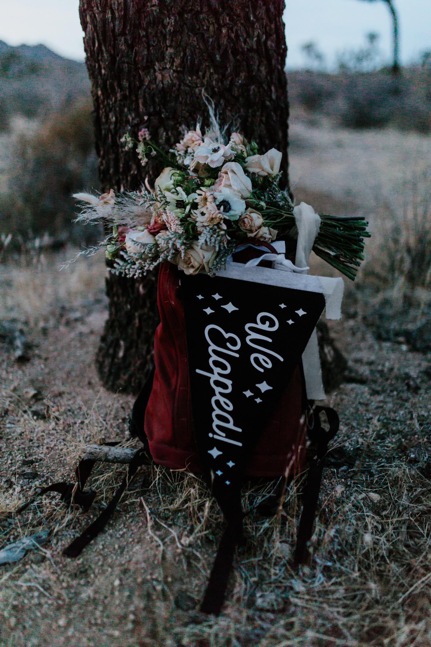 Shelby's flowers and elopement announcement.
