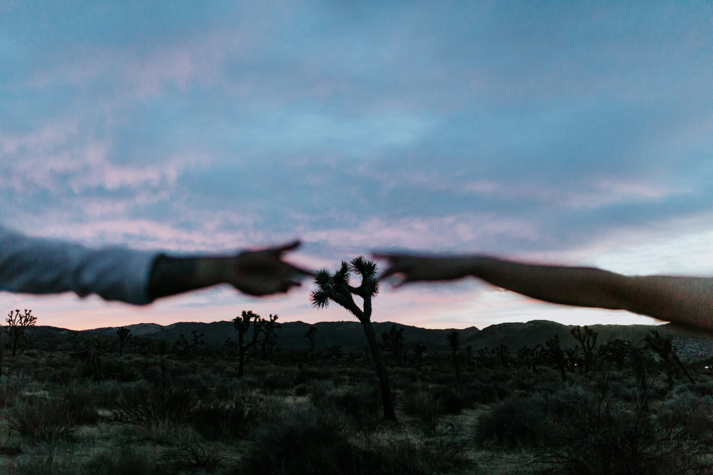 Zack and Shelby reach for each other during sunset in Joshua Tree.