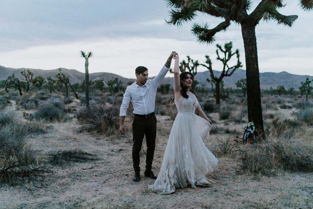 An animated gif of Zack spinning Shelby next to a Joshua Tree.