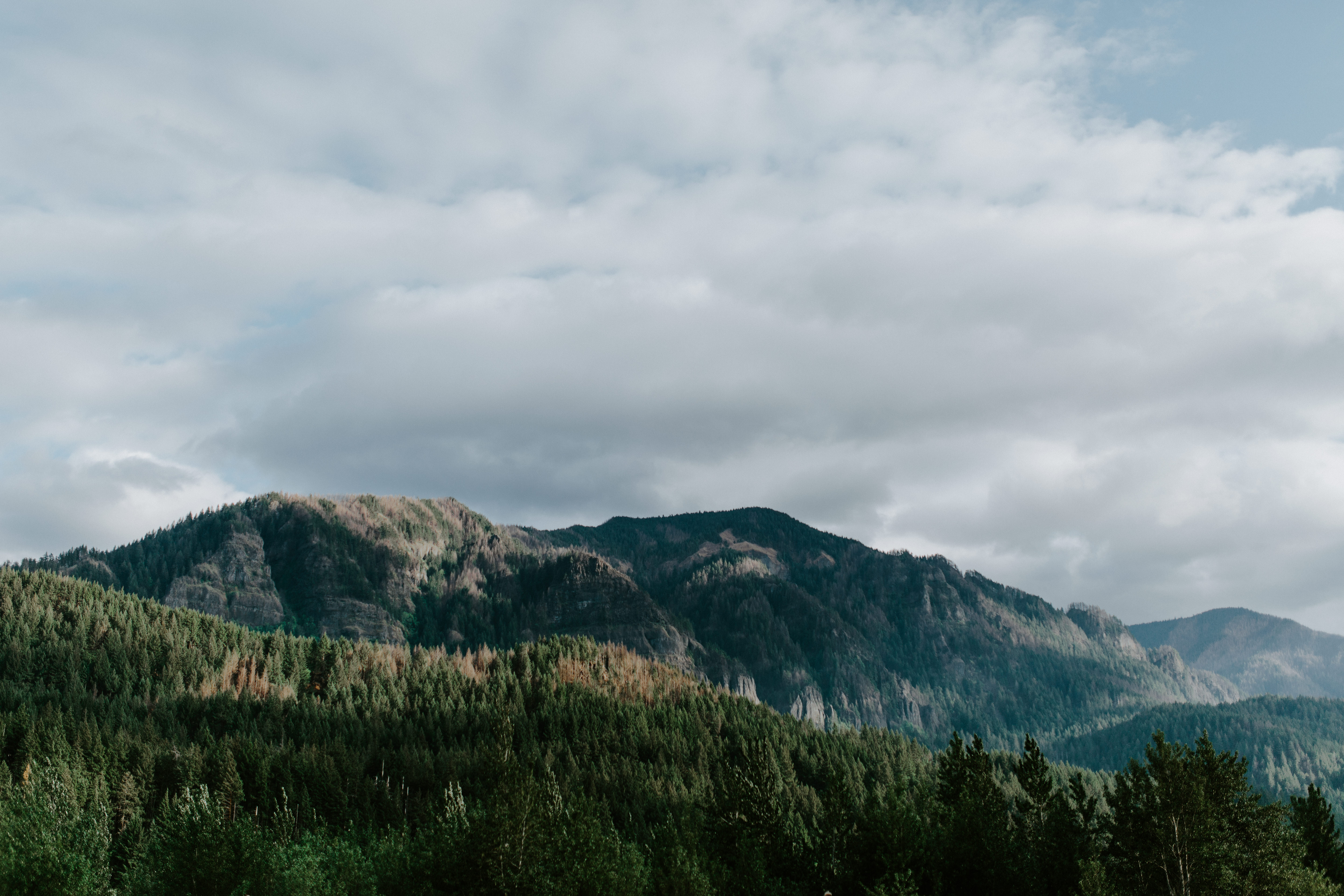 A view of the mountains of the Columbia River Gorge in Oregon. Engagement photography in Portland Oregon by Sienna Plus Josh.