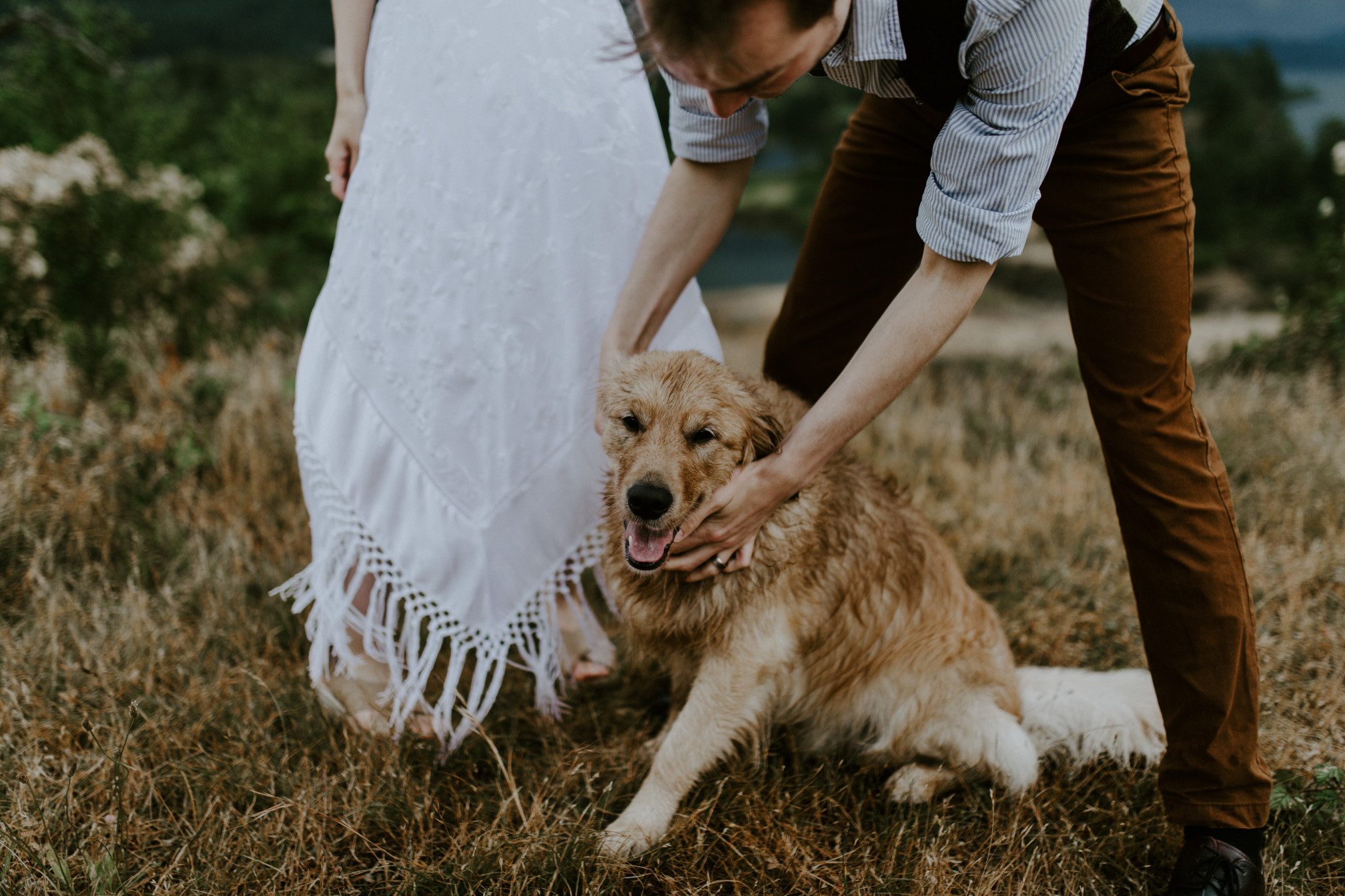 Jacob and Kimberlie have cody near their feet at Cascade Locks, OR. Elopement wedding photography at Cascade Locks by Sienna Plus Josh.