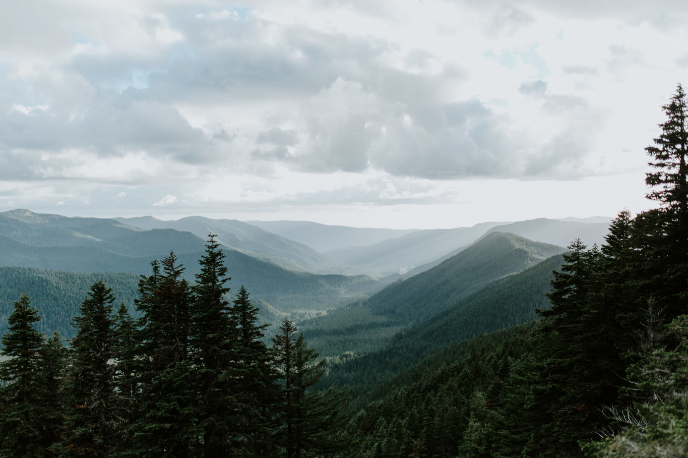 A view of the Oregon mountains. Adventure elopement wedding shoot by Sienna Plus Josh.