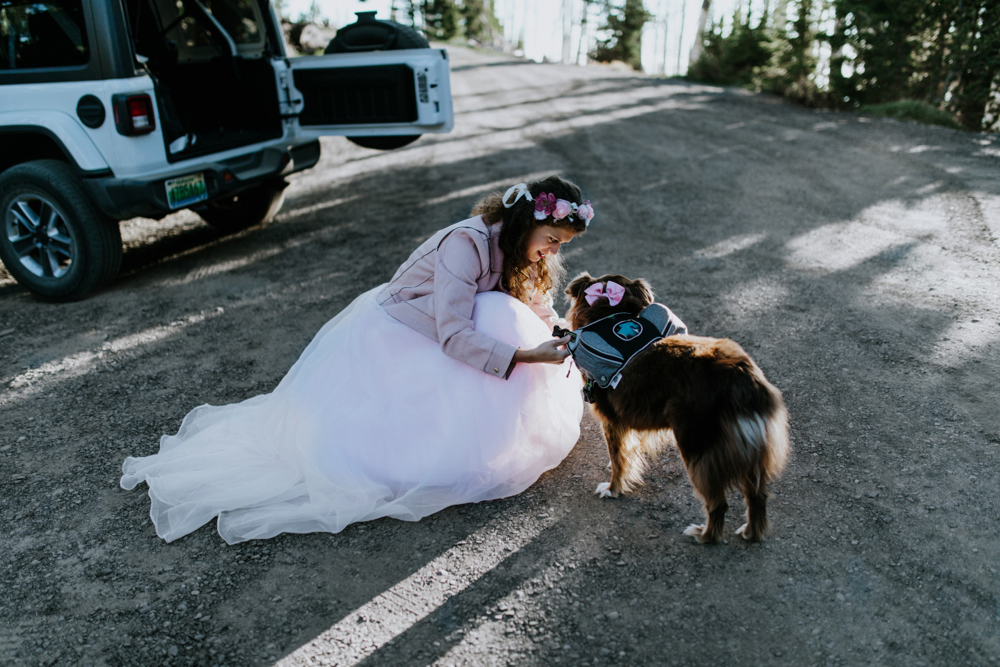 Heather gets her dog ready for the hike. Elopement photography at Mount Hood by Sienna Plus Josh.
