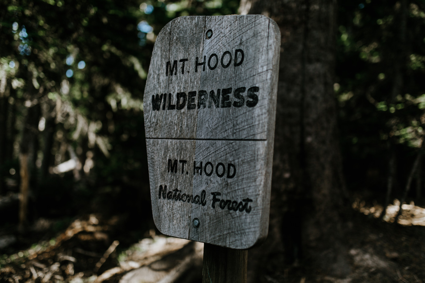 A trail marker sign for the trail up Mount Hood. Elopement photography at Mount Hood by Sienna Plus Josh.
