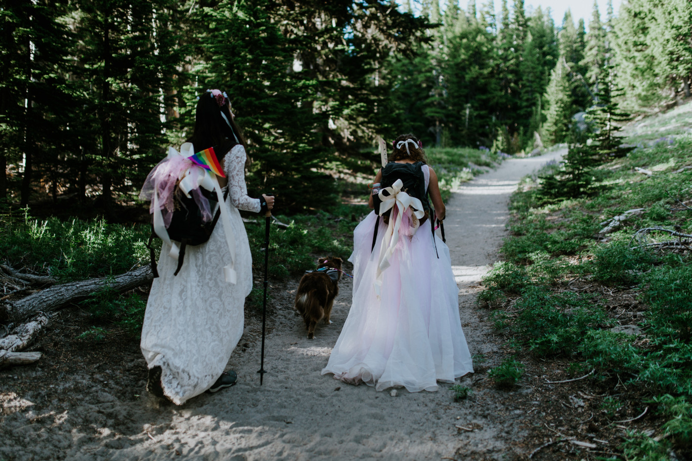 Margaux and Heather walk the beginning of the trail toward Mount Hood. Elopement photography at Mount Hood by Sienna Plus Josh.