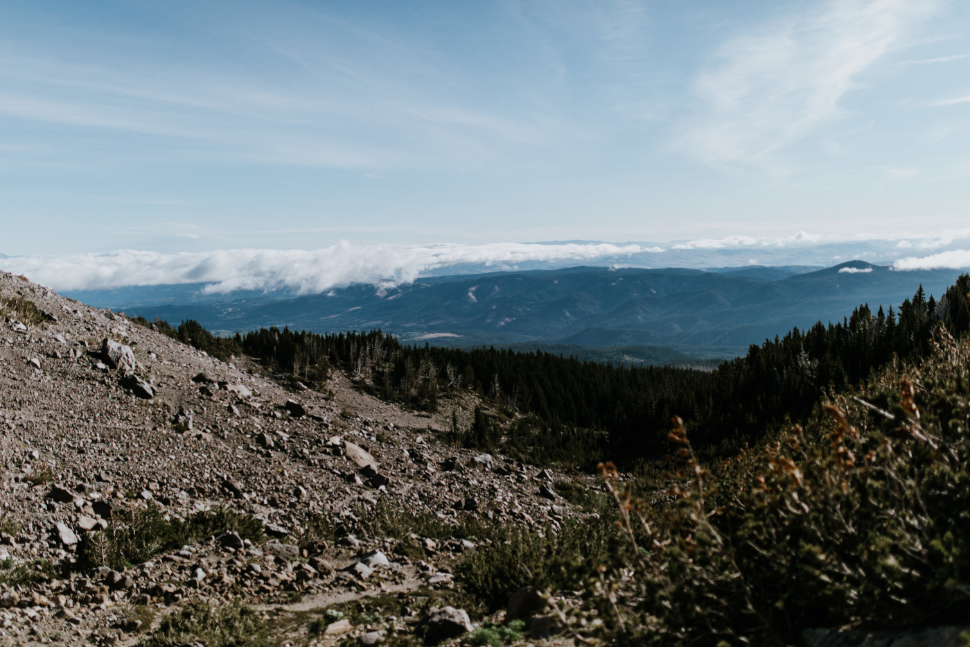 A view of the lanscape on Mount Hood. Elopement photography at Mount Hood by Sienna Plus Josh.