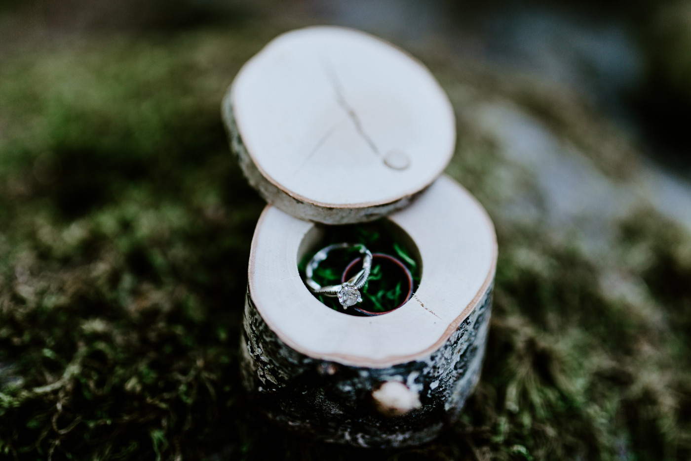 Corey and Kylie's rings in a box in the Mount Hood national forest.