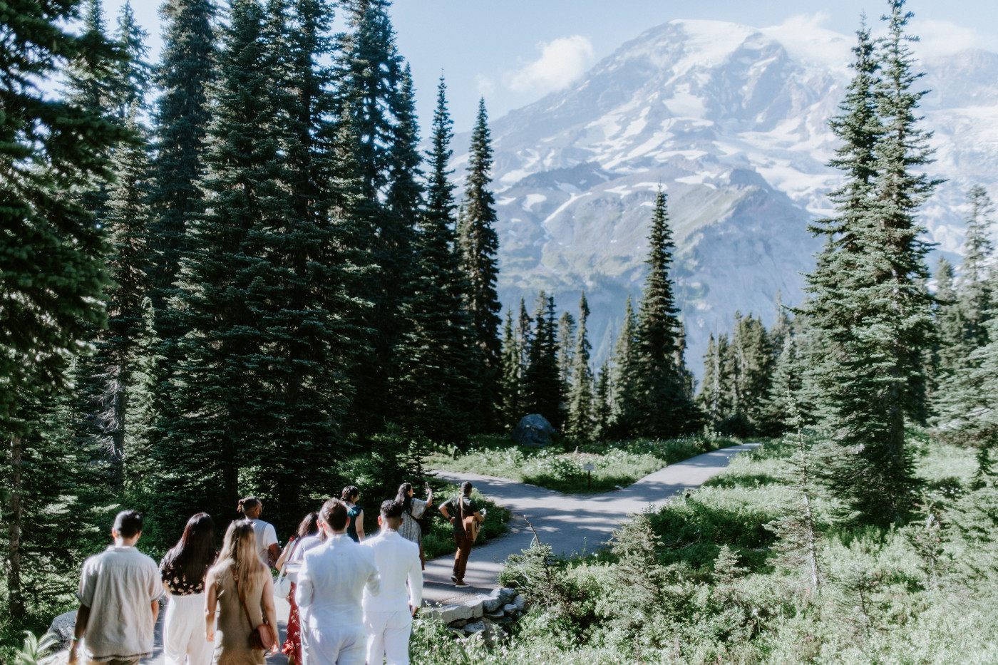 Fred, Brooks, friends, and family walk together in Mount Rainier after their elopement.