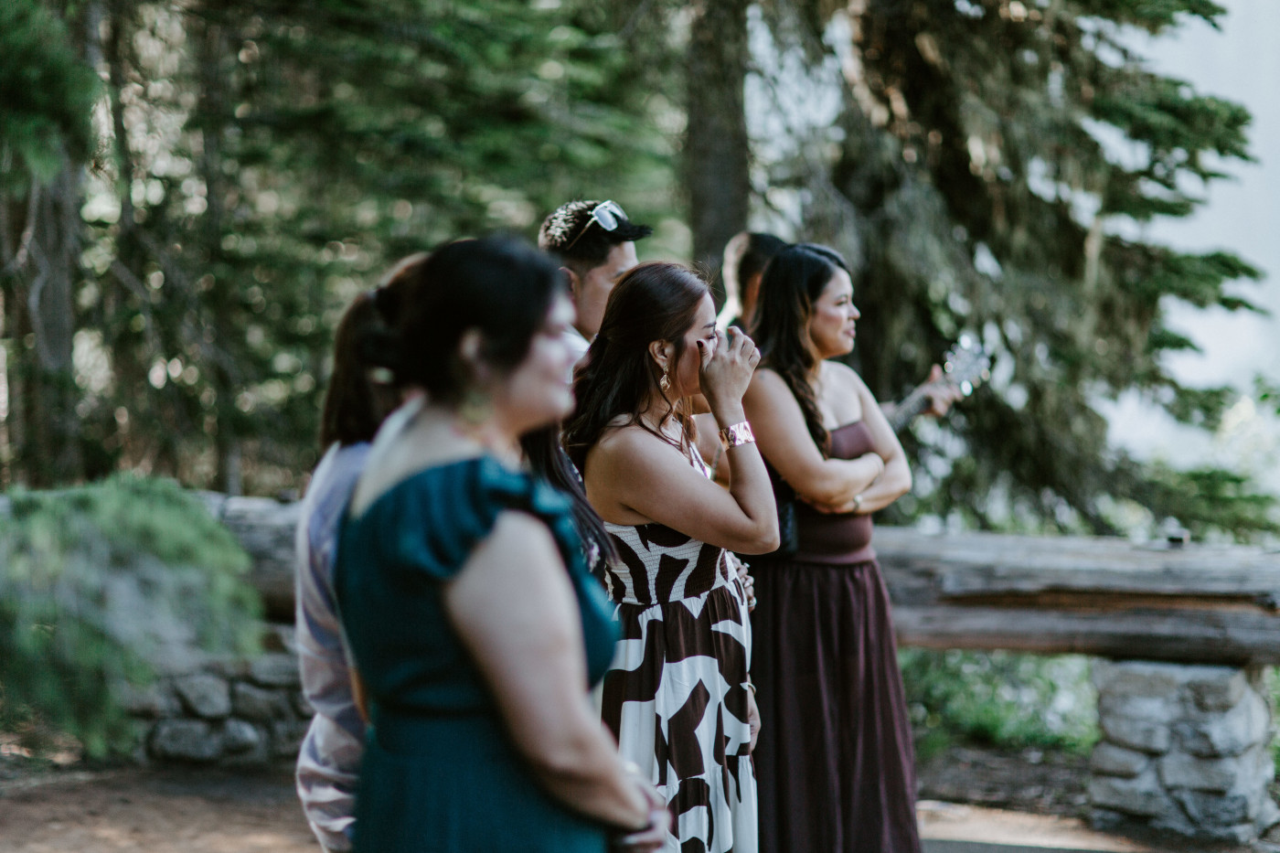 Friends watch the elopement of Brooks and Fred in Mount Rainier.