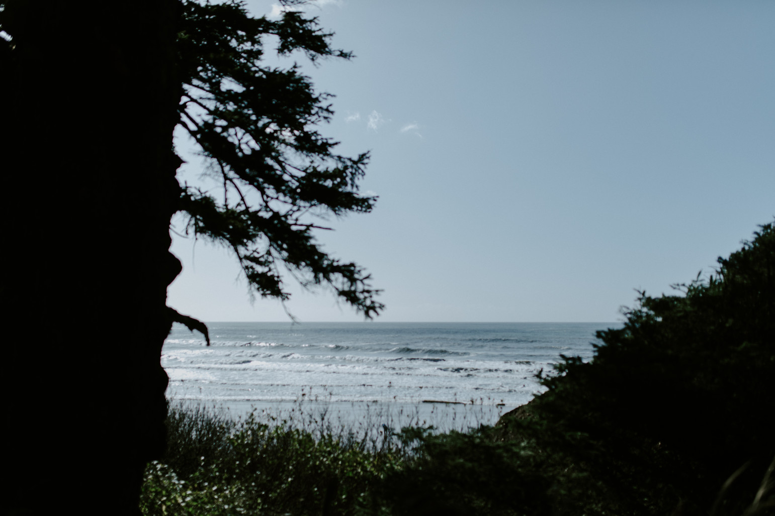 The view of the ocean, Cannon Beach. Elopement wedding photography at Cannon Beach by Sienna Plus Josh.