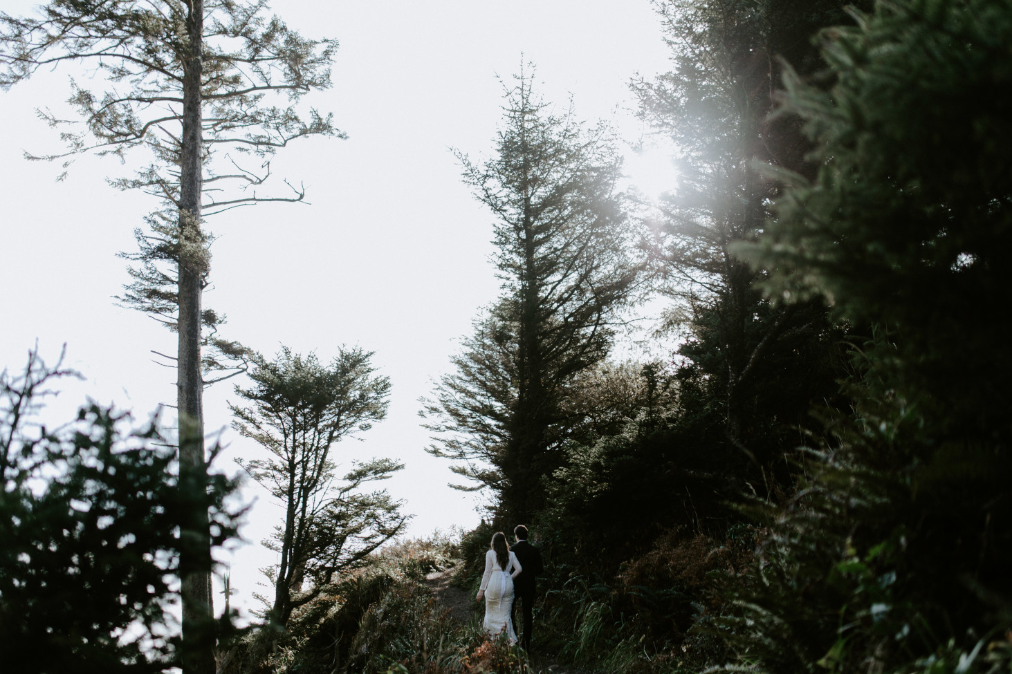 Nicole and Vlad walk up a trail. Elopement wedding photography at Cannon Beach by Sienna Plus Josh.