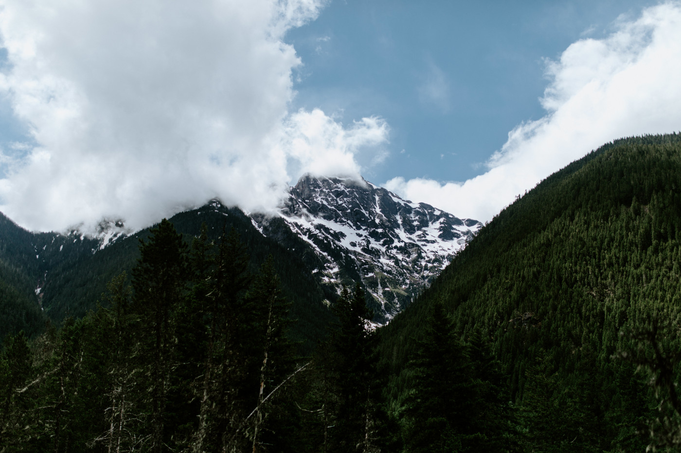 Elizabeth and Alex hike to their picnic spot. Elopement photography at North Cascades National Park by Sienna Plus Josh.