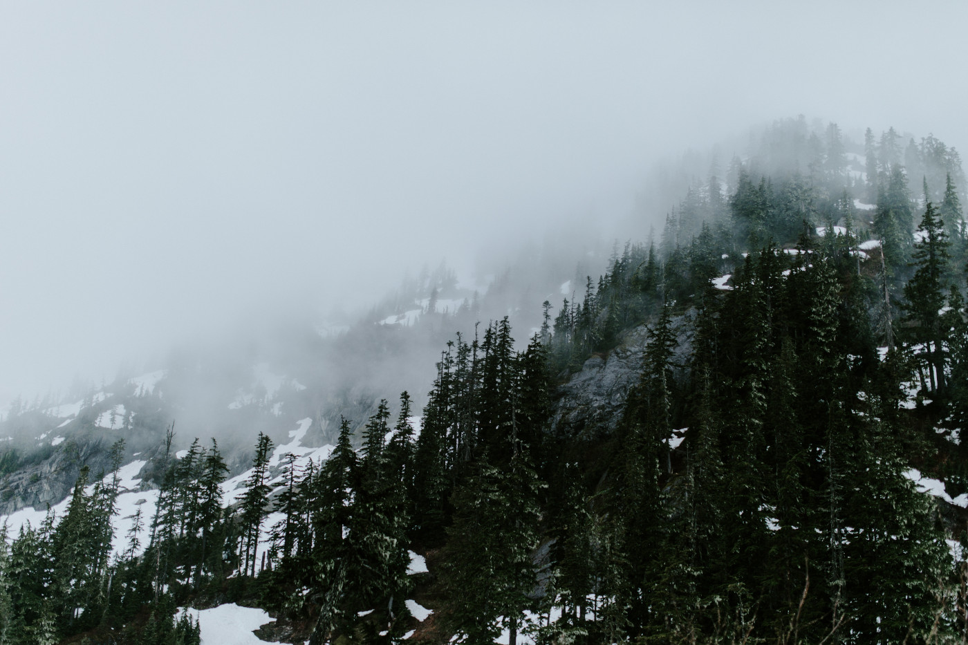 A view of the snow covered trees. Elopement photography at North Cascades National Park by Sienna Plus Josh.