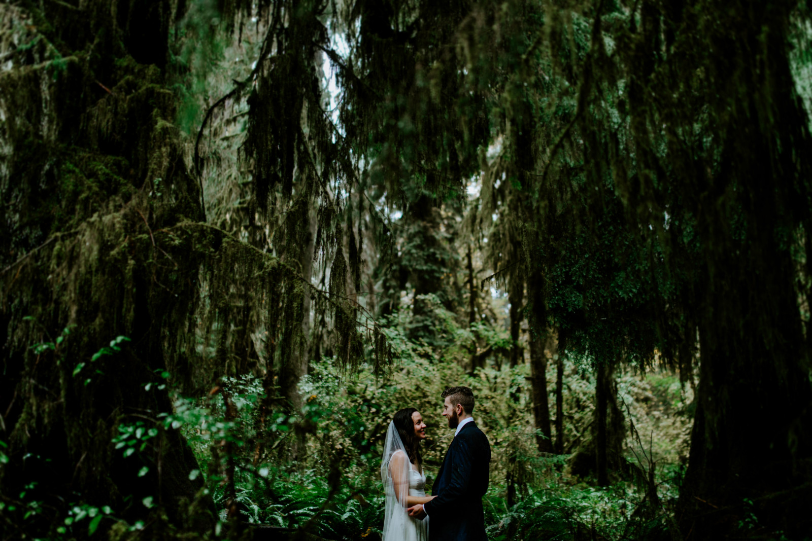 Corey and Mollie stand under moss. Elopement photography in the Olympic National Park by Sienna Plus Josh.