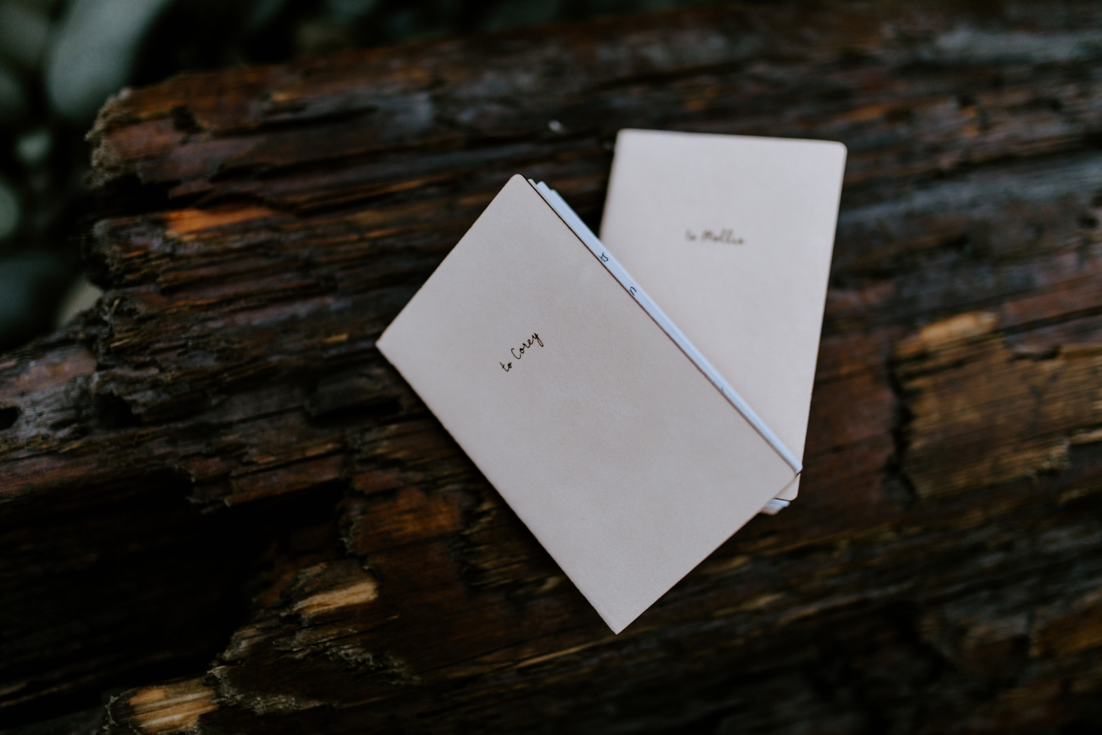 Mollie and Corey's vowbooks. Elopement photography in the Olympic National Park by Sienna Plus Josh.