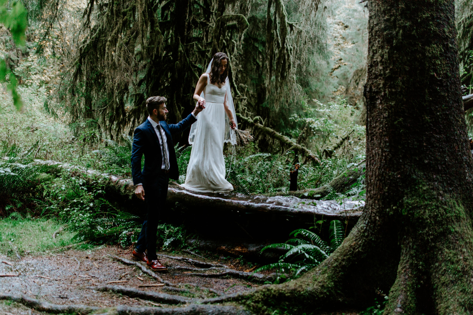 Corey helps Mollie walk on a tree. Elopement photography in the Olympic National Park by Sienna Plus Josh.