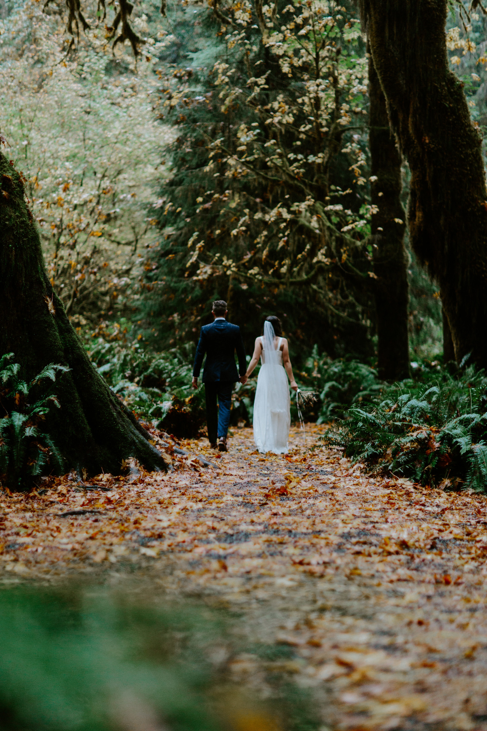 Corey and Mollie hold hands as they walk away. Elopement photography in the Olympic National Park by Sienna Plus Josh.