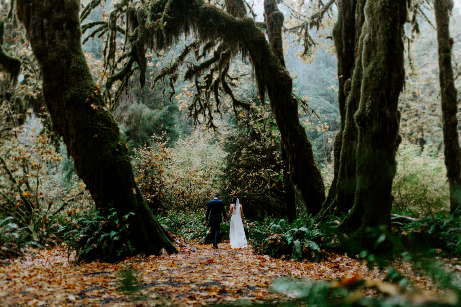 Corey and Mollie walking through the woods. Elopement photography in the Olympic National Park by Sienna Plus Josh.