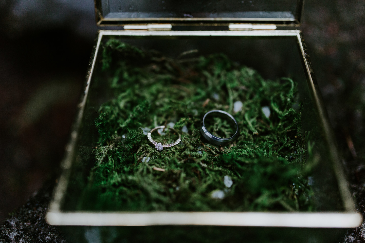 The rings for the wedding sit inside a box at Skamania House, Washington. Elopement photography in Portland Oregon by Sienna Plus Josh.